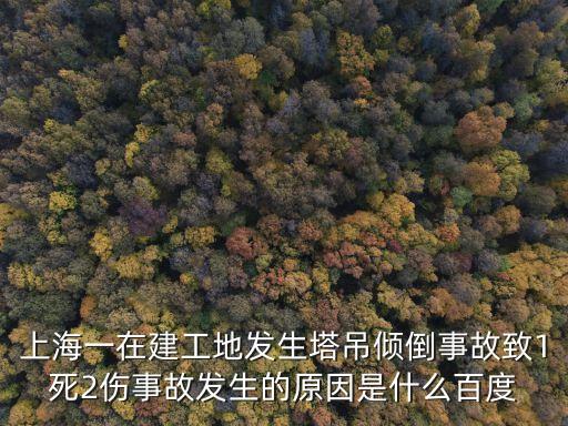 上海一在建工地發生塔吊傾倒事故致1死2傷事故發生的原因是什么百度