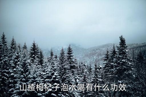 山楂枸杞子泡水喝有什么功效
