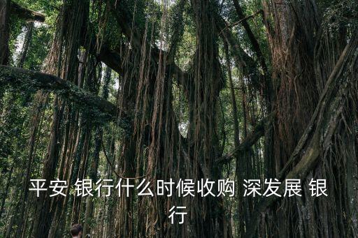深發(fā)展銀行,原名新平安銀行上海分行改名