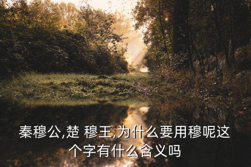 秦穆公,楚 穆王,為什么要用穆呢這個字有什么含義嗎