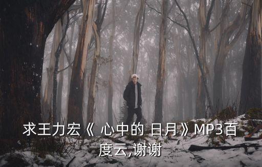 求王力宏《 心中的 日月》MP3百度云,謝謝