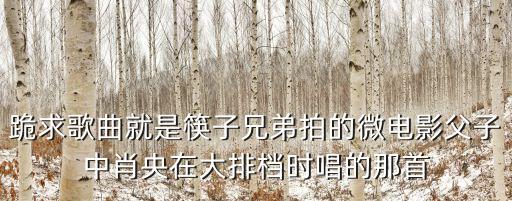 跪求歌曲就是筷子兄弟拍的微電影父子中肖央在大排檔時唱的那首