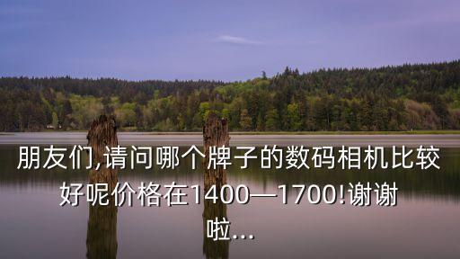 朋友們,請問哪個牌子的數碼相機比較好呢價格在1400—1700!謝謝啦...