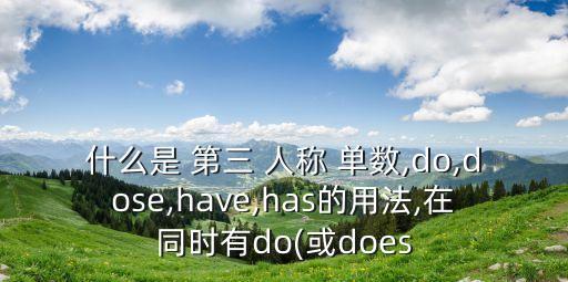 do第三人稱單數(shù),進(jìn)步、做是do的第三-1單數(shù)形式嗎?