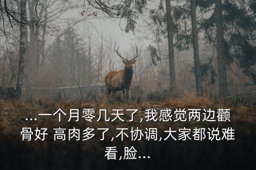 高肉,中國高檔牛肉市場迅速擴(kuò)大好看好吃