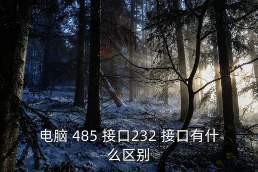 電腦 485 接口232 接口有什么區別