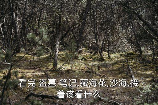 盜墓筆記3,先看沙海再看藏花盜墓筆記第一集