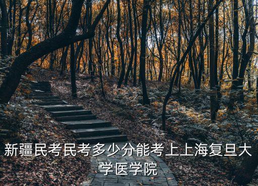 新疆民考民考多少分能考上上海復旦大學醫學院
