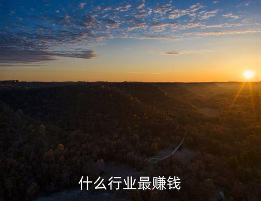 什么行業最賺錢