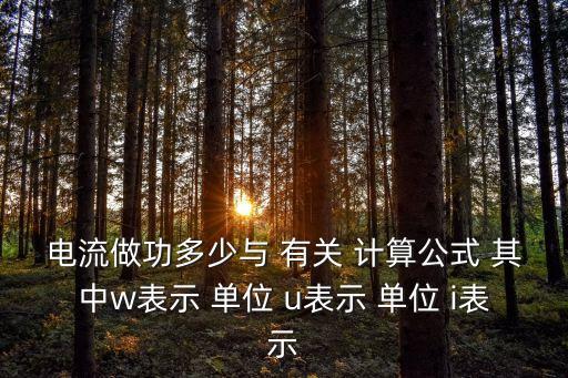 電流做功多少與 有關 計算公式 其中w表示 單位 u表示 單位 i表示