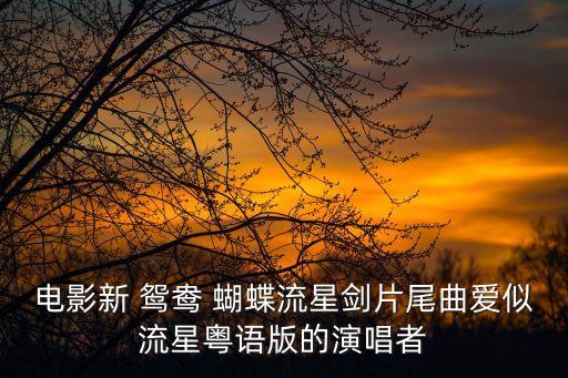 新鴛鴦蝴蝶劍,粵語版《心中的夢》是楊紫瓊的翻唱