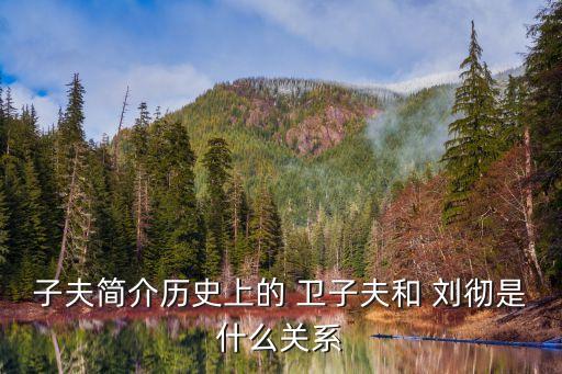 劉徹衛子夫,衛子夫和段宏的關系到了冰點?原來是這樣的