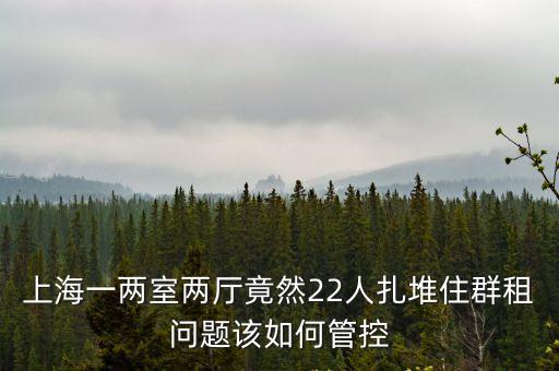 上海一兩室兩廳竟然22人扎堆住群租問題該如何管控