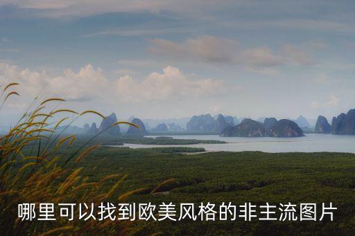 哪里可以找到歐美風(fēng)格的非主流圖片