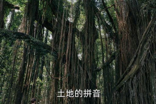 土地造句,黑土地適合種莊稼和蔬菜!一句話!