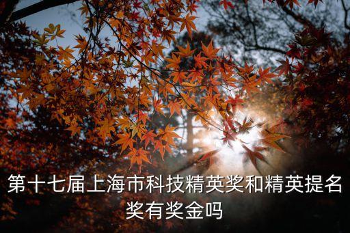 上海市科技精英提名獎，武漢室內設計好的學校有幾家