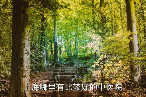 上海市石門一路有幾個中醫(yī)醫(yī)院，上海哪里有比較好的中醫(yī)院