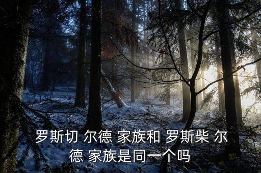 羅斯切爾德家族,羅斯柴爾德家族是世界知名金融家族