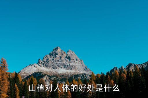 山楂對人體的好處是什么