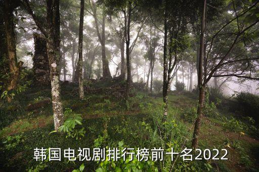 韓國連續劇,《非常律師于》收視率排名出爐