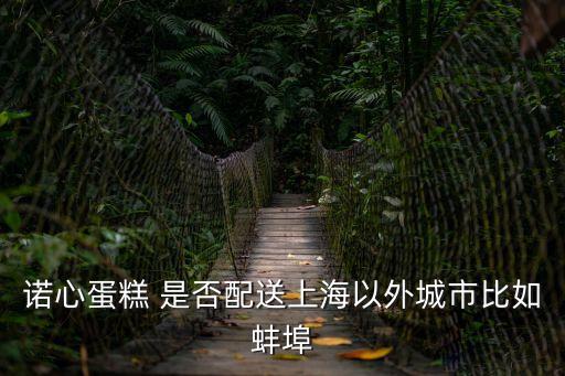 諾心蛋糕 是否配送上海以外城市比如蚌埠