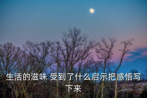生活的滋味 受到了什么啟示把感悟寫下來