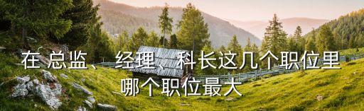 在 總監、 經理、科長這幾個職位里哪個職位最大