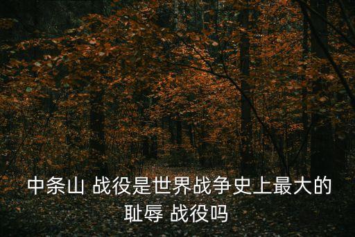中條山戰役,中條山戰役:蔣介石邀中共出兵配合戰斗