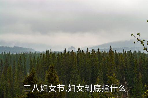  三八婦女節,婦女到底指什么