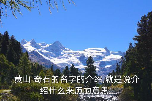  黃山 奇石的名字的介紹,就是說介紹什么來歷的意思!