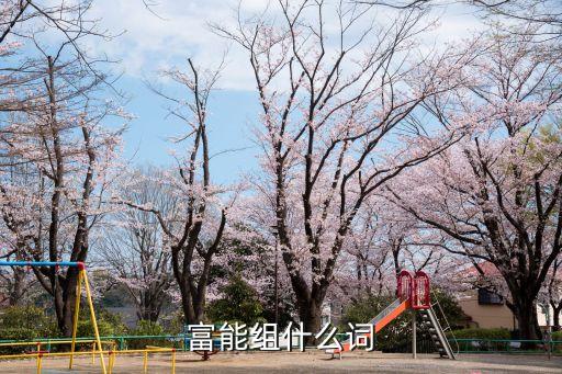 富的組詞，富能組什么詞