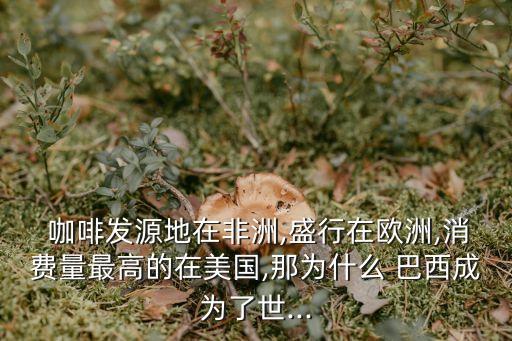 巴西咖啡,巴西咖啡ok!入口十分順滑香味微苦