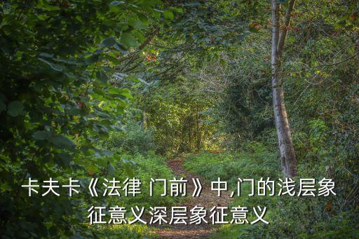 法的門前,小說:法律門前的守衛是法的拒絕姿態