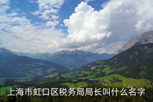 上海市虹口區稅務局局長叫什么名字