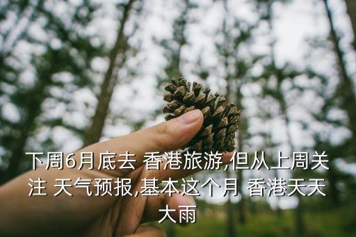 香港今天天氣,香港市區天氣炎熱的日子越來越長?