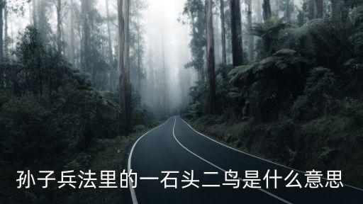 一石二鳥的意思,一石二鳥:武漢解封第二天開始流行