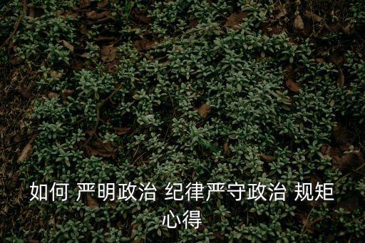 嚴明紀律規矩,依靠紀律和規矩才能一路走好