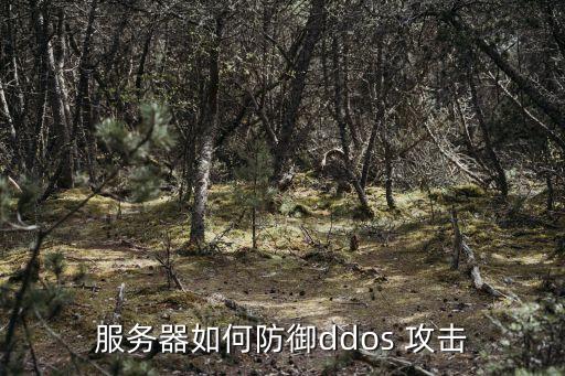 服務(wù)器如何防御ddos 攻擊