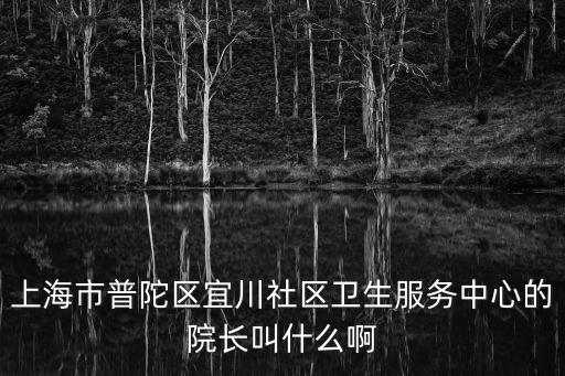 上海市普陀區張曉文，上海市普陀區