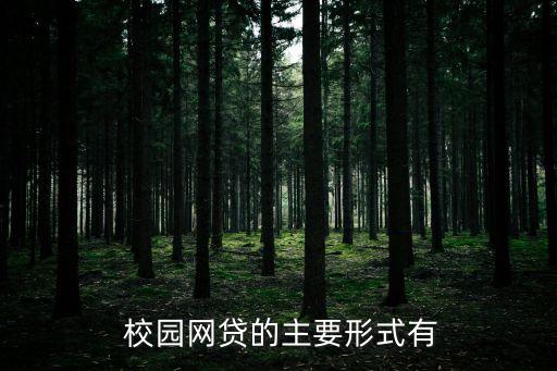  校園網貸的主要形式有