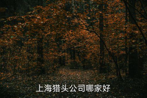 上海市十大獵頭公司，上海有名的獵頭公司