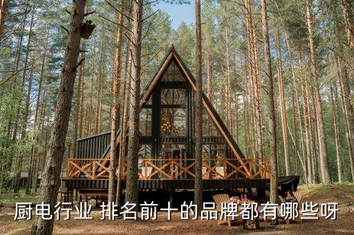 家電行業(yè)排名,廚衛(wèi)電器品牌排名靠強(qiáng)大品牌效應(yīng)帶動(dòng)整體知名度