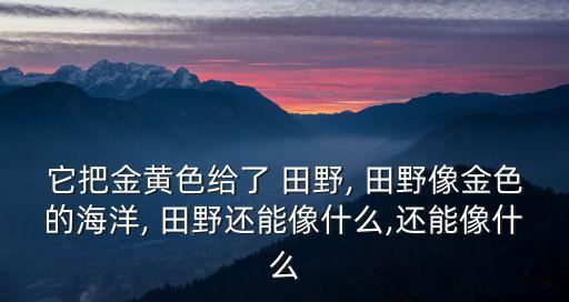 田野像什么,第二集:第一集:從天降的金子!