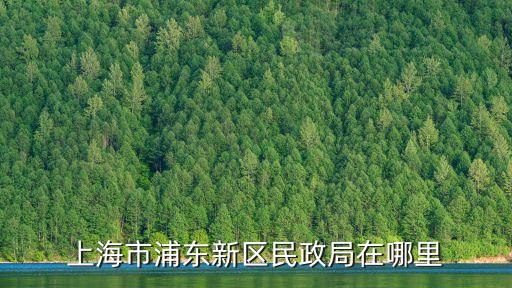 民進上海市委 地址，上海市民政局地址