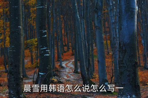 晨雪，晨雪這個名字寓義著什么