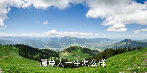 屬兔人一生怎么樣