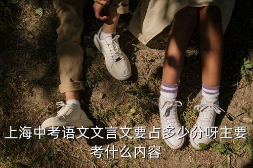上海中考語文文言文要占多少分呀主要考什么內容