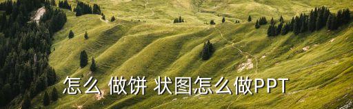 怎么做餅狀圖,excel蛋糕餅狀圖怎么做?