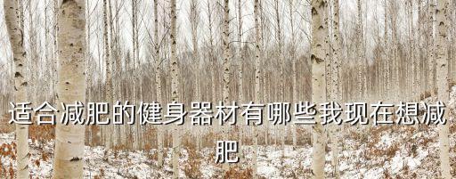 適合減肥的健身器材有哪些我現在想減肥