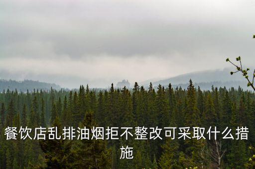 上海市餐飲油煙專項整治，上海燃氣摩托車